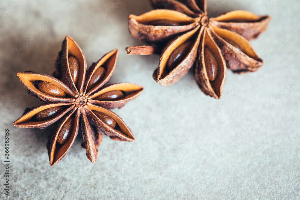 Closeup of a two star anise seeds on a light blue surface Closeup of a two star anise seeds on a light blue surface