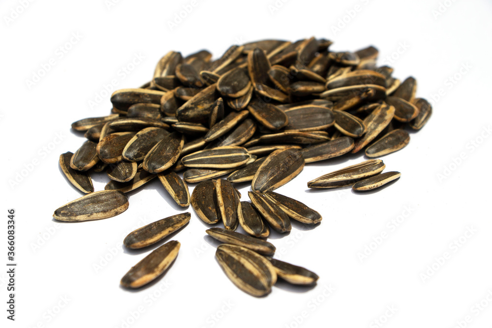 group of sunflower seeds isolated on white background group of sunflower seeds isolated on white background
