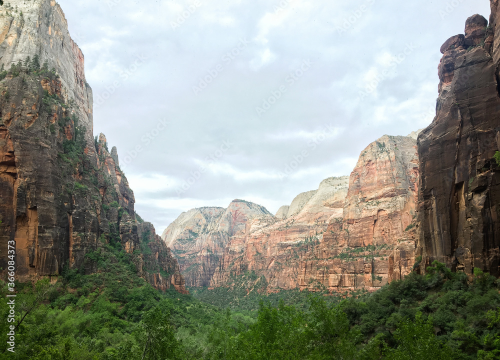 View from a hike at Zion National Park