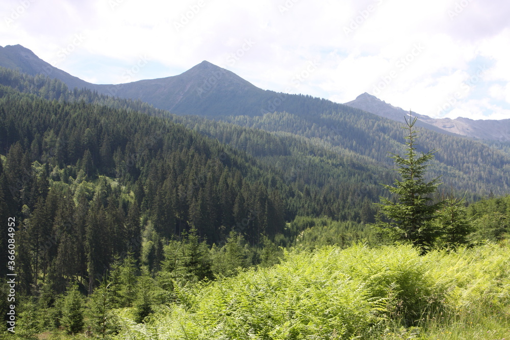 Obraz premium steiermark