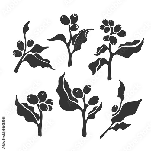 Vector coffee tree. Art set. Organic arabica drink