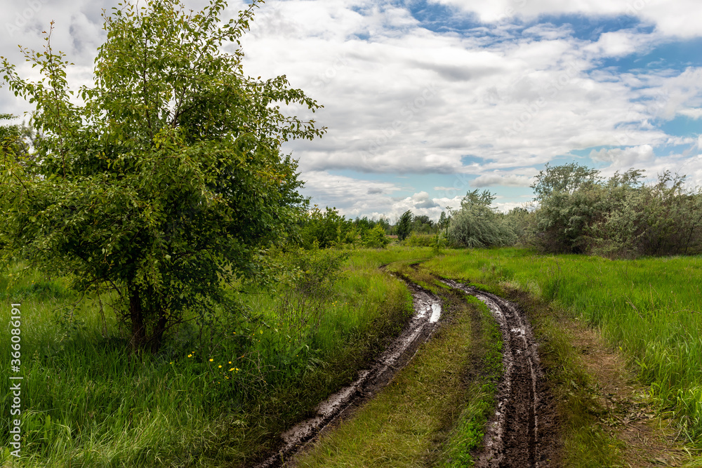 Scenic wet after rain dirt muddy road through trees and green grass field meadows against blue sly background. Russian rural countryside rustic village way. Wild unpaved path in summer steppe