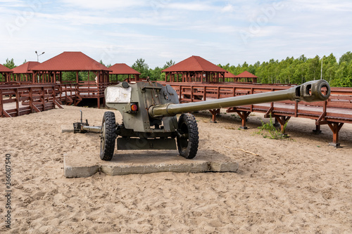Obraz na płótnie Old cannon at Bledowska Desert near