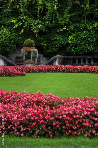 Flowers in Mirabell Gardens in Salzburg  Austria  Europe