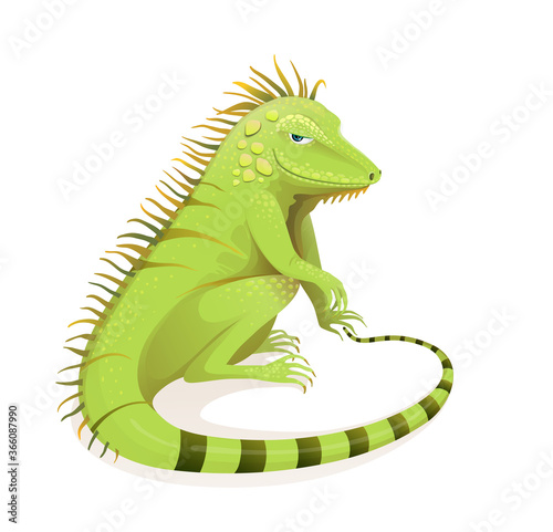 Realistic hand drawn Iguana vector cartoon. Green exotic jungle and rainforest reptile zoology illustration. Isolated animal and vertebrate clipart.