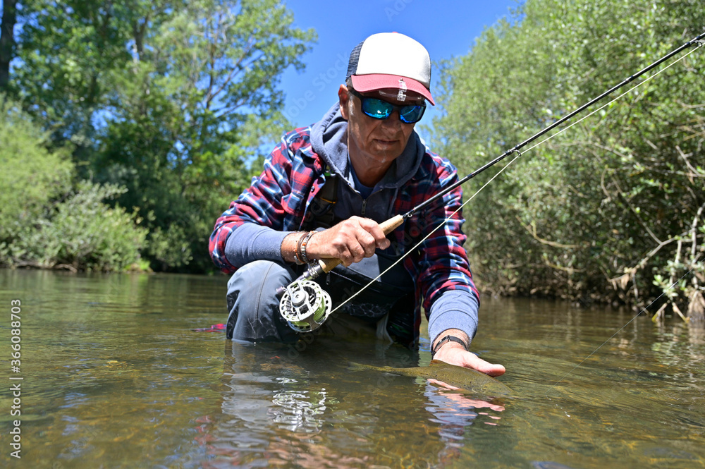 fly fisherman in summer catching brown trout fishing in a mountain river fly fisherman in summer catching brown trout fishing in a mountain river