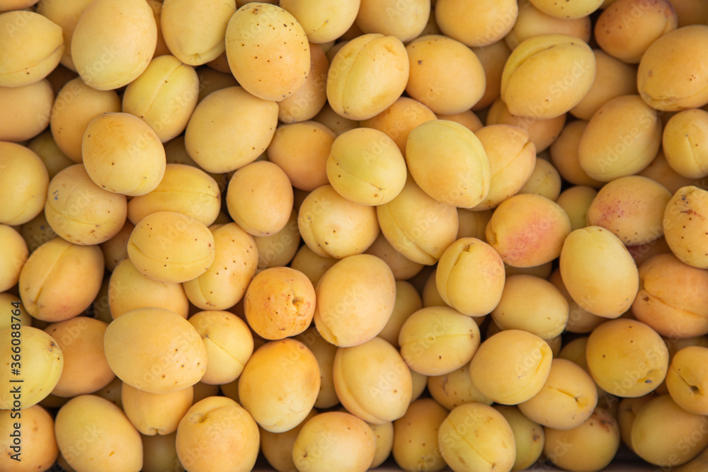 fresh ripe yellow apricot close up, apricot background fresh ripe yellow apricot close up, apricot background