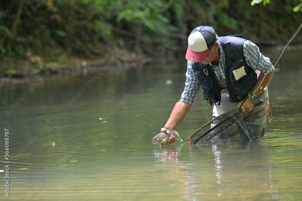 fly fisherman in summer catching a rainbow trout fishing in a mountain river fly fisherman in summer catching a rainbow trout fishing in a mountain river