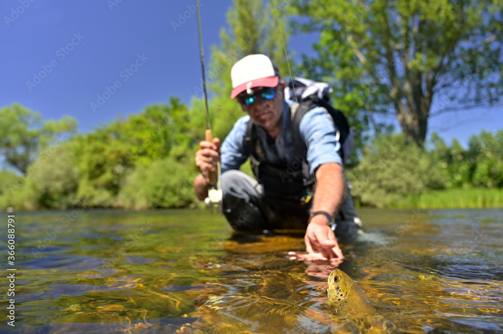 fly fisherman in summer catching brown trout fishing in a mountain river fly fisherman in summer catching brown trout fishing in a mountain river
