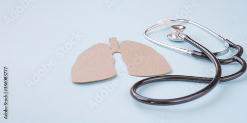 Stethoscope and lungs on a blue background. Greeting background. National doctor's day. Happy nurse 's day. Health day. World Tuberculosis Day. COVID-19. Top view, a copy of the space.