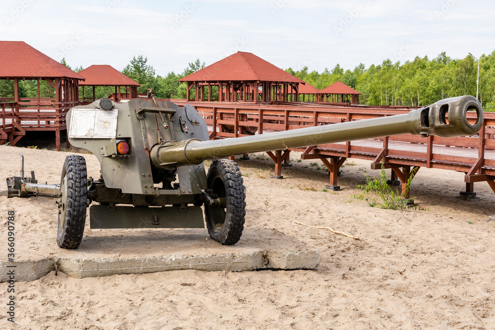 Old cannon at Bledowska Desert near
