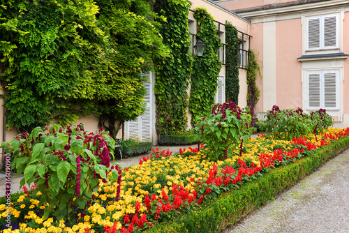 Flowers in Mirabell Gardens in Salzburg, Austria, Europe