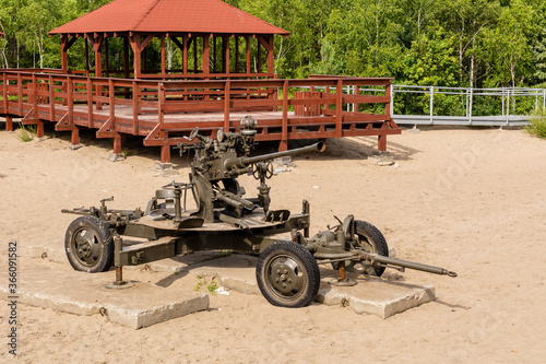 Obraz na płótnie Old cannon at Bledowska Desert near