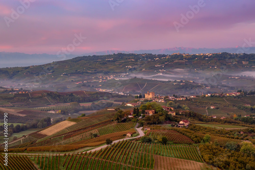 Grinzane Cavour in Langhe, Piedmont (Piemonte), Italy (Italia). Historic medieval Castle during day. Vineyards in Cuneo district, nearby Alba.