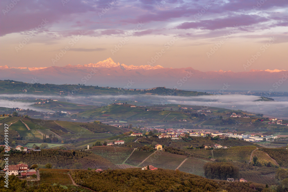 Monviso at Sunrise and Langhe region, with vineyards. Panoramic sunset in Piemonte (Piedmont). Italian Alps. Distric of Cuneo and Alba in Italy.