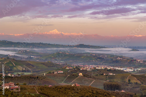 Monviso at Sunrise and Langhe region, with vineyards. Panoramic sunset in Piemonte (Piedmont). Italian Alps. Distric of Cuneo and Alba in Italy.