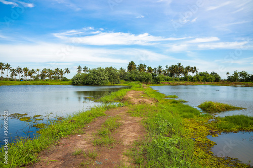  Village Nature