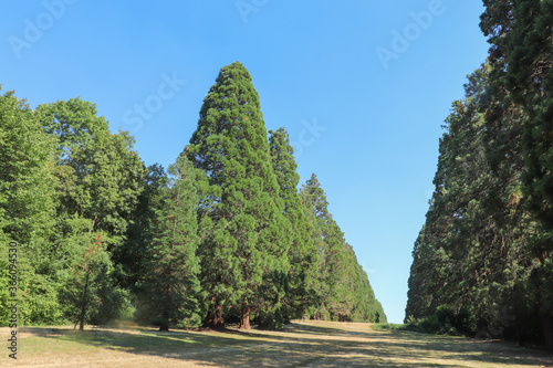 Fototapeta Ile de France - Essonne - Mennecy - Parc de Villeroy -