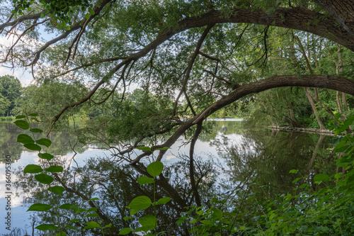 Annateich im Hermann-Löns-Park