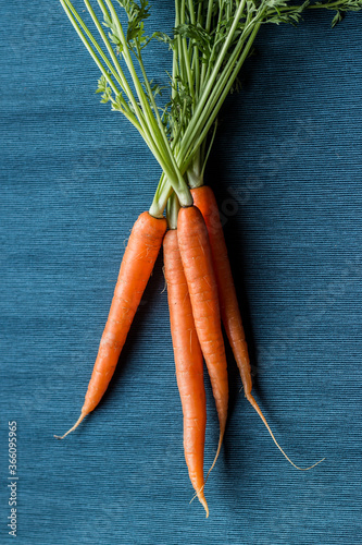 Bunch of carrots on a blue tablecloth