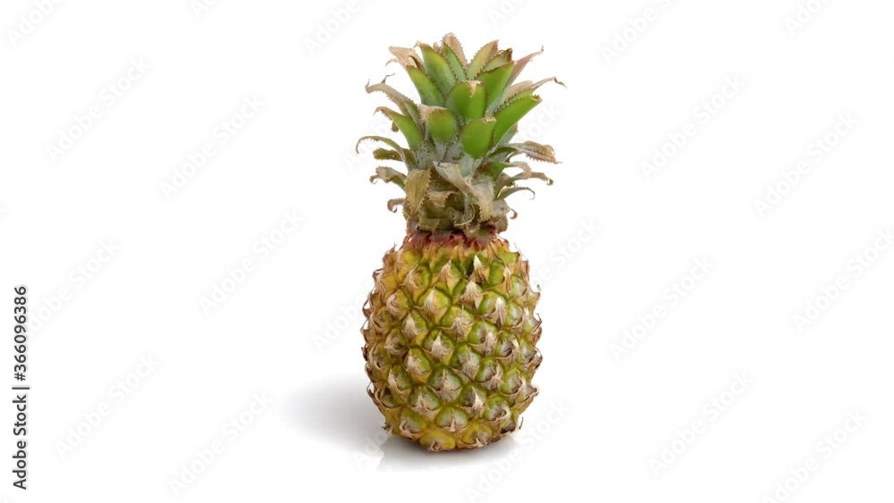 baby pineapple isolated on white baby pineapple isolated on white
