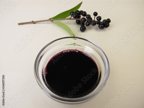 Black violet ink made from privet berries photo