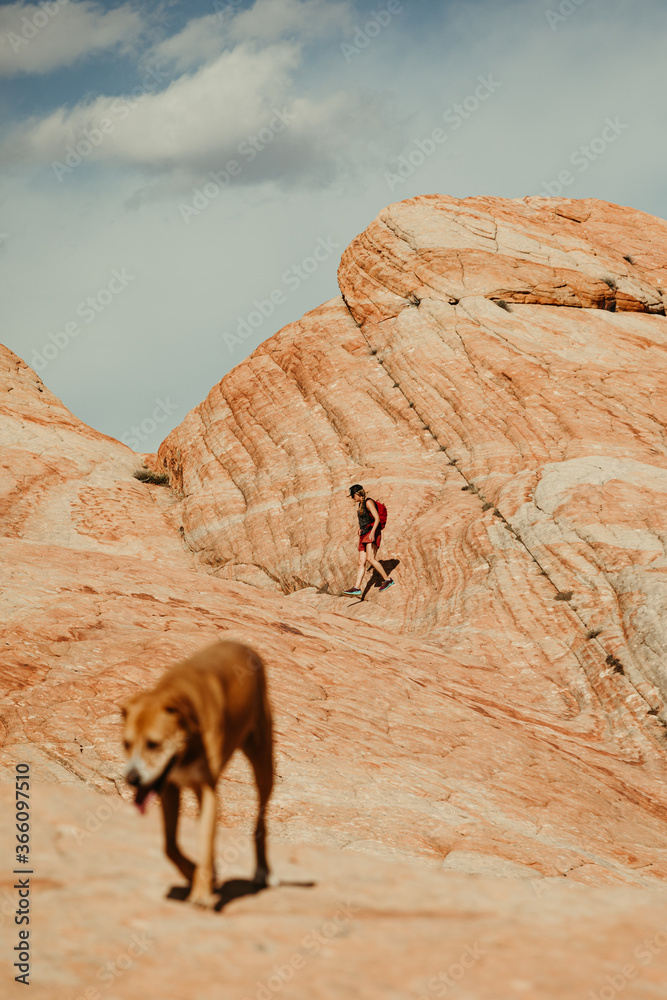female hiker in focus with dog in foreground in red rocks desert female hiker in focus with dog in foreground in red rocks desert