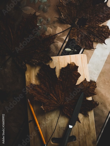 Preparing photography props