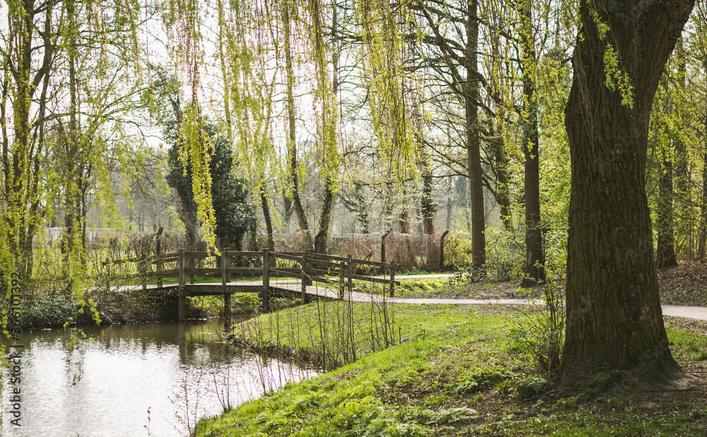 Nature landscape with a path and a bridge over water Nature landscape with a path and a bridge over water