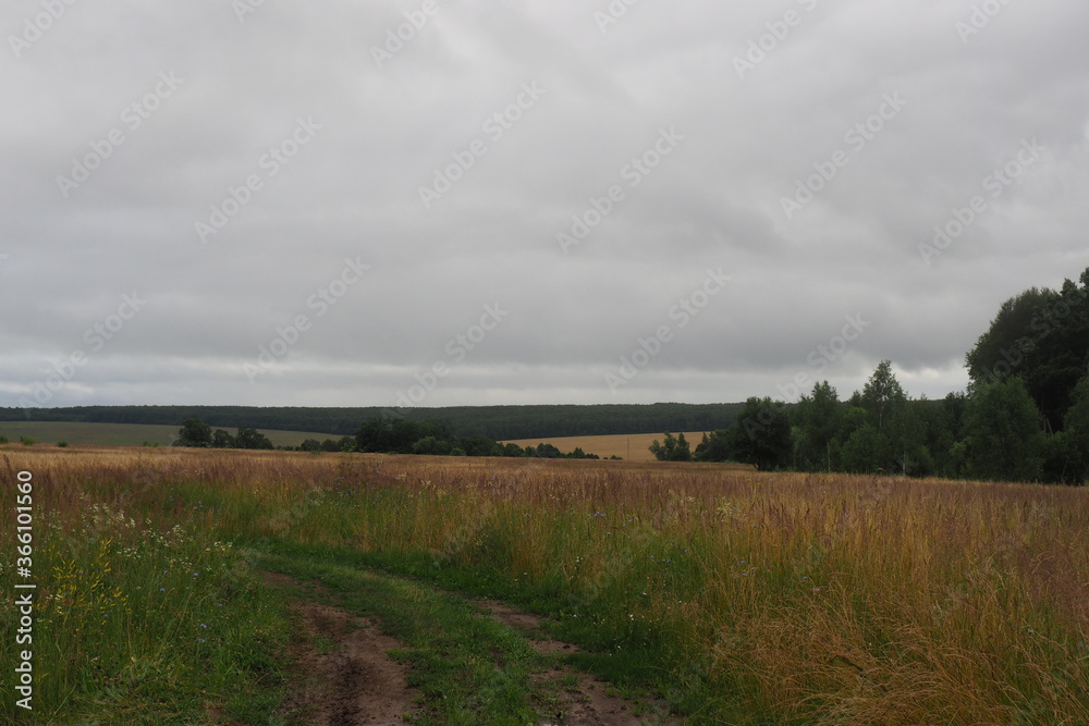 Obraz premium OLYMPUS DIGITAL CAMERA