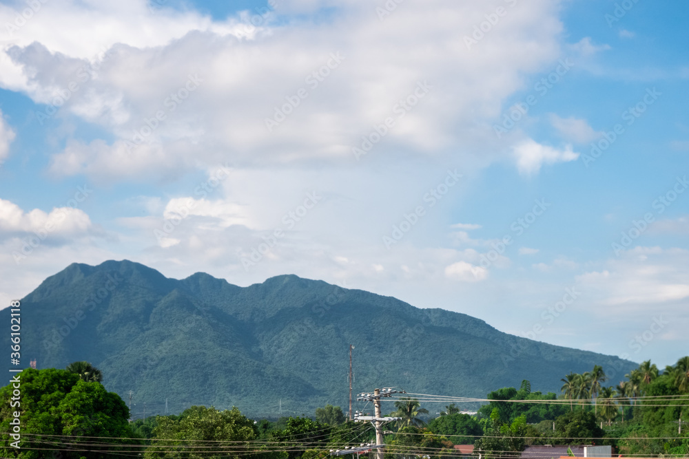 Trees with Mountain and Sky Background