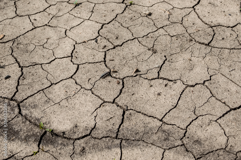 Cracks in the sun-baked earth. Cracks in the sun-baked earth.