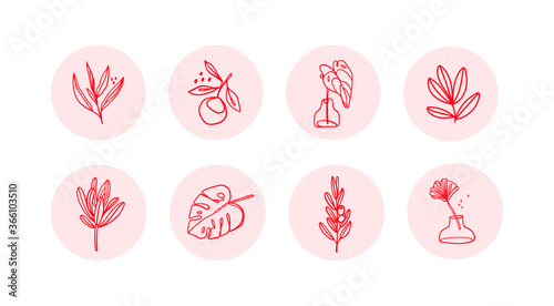 Various red Leaves and Flowers, abstract shapes. Ink painting style. Contemporary Hand drawn Vector illustrations. Continuous line, minimalistic elegant concept. All elements are isolated. Round icons