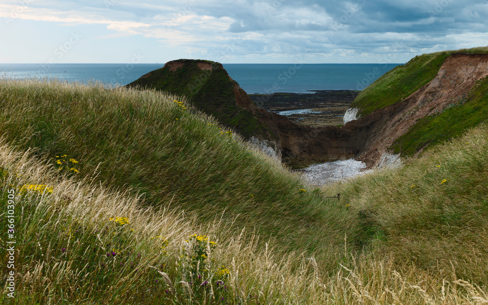 Landscape with view of grass verges, cliffs, and sea. Flamborough, UK.