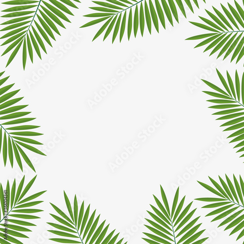 Vector illustration background with tropical leaves, frame from leaves of palm tree,summer background.Graphics element. 