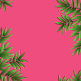 Bright branches of green leaves on a pink background can be used for a postcard, business card