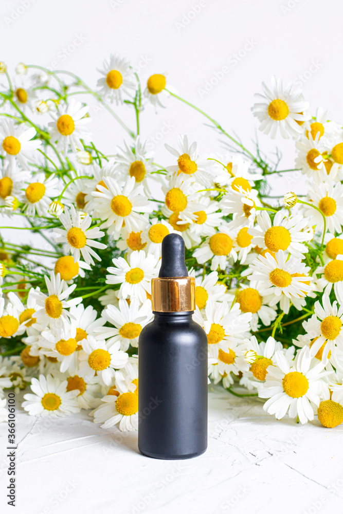 A glass dropper bottle of black color against a background of fragrant field daisies. Natural cosmetics and skin care. Aroma essential oil.