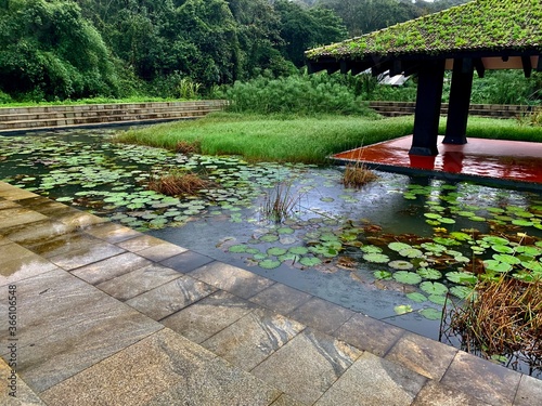 japanese garden with pond and garden