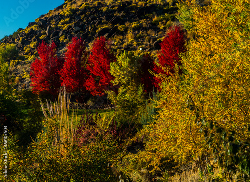 Bartley Ranch Regional Park Reno Nevada photo