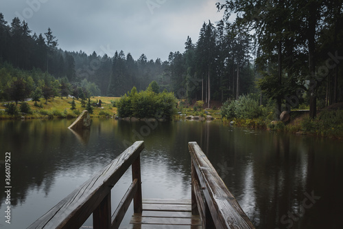 Pond in forest with floodgate on rainy weather. Natural reserve Czech canada, dark mood green