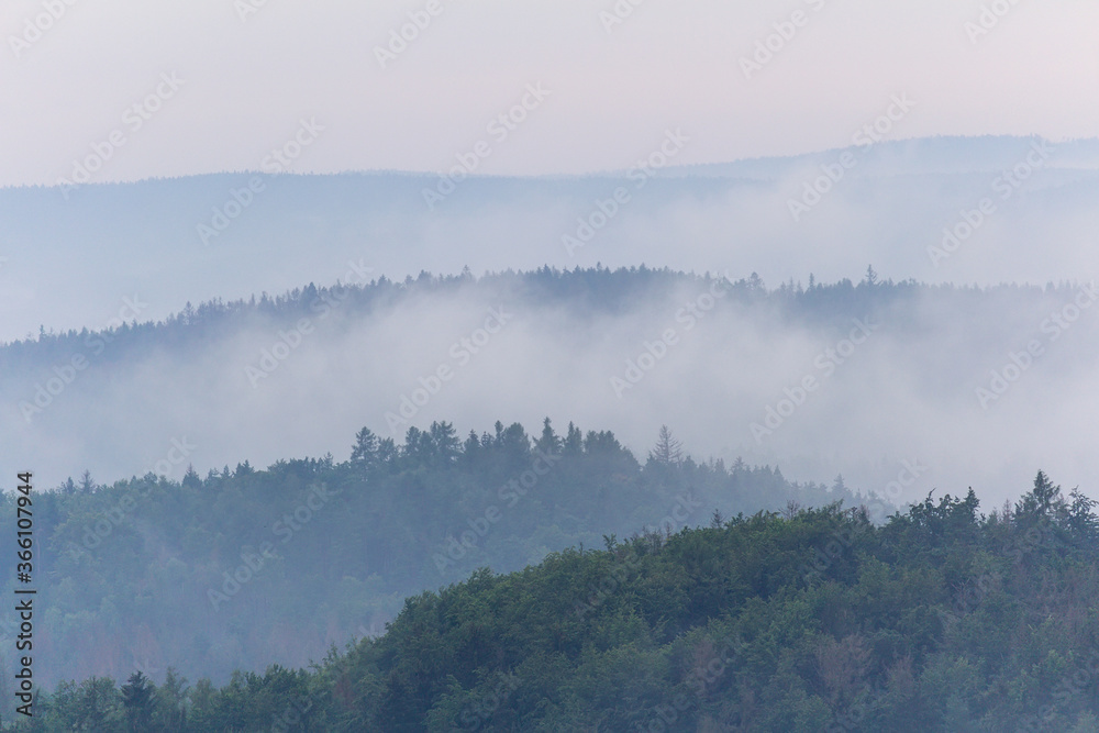 Panoramic view to forest,  silhouette with misty fog. Czech landscape