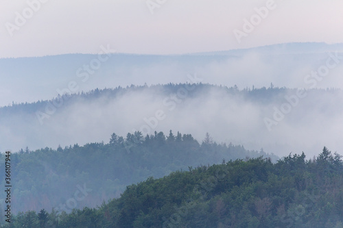 Panoramic view to forest, silhouette with misty fog. Czech landscape