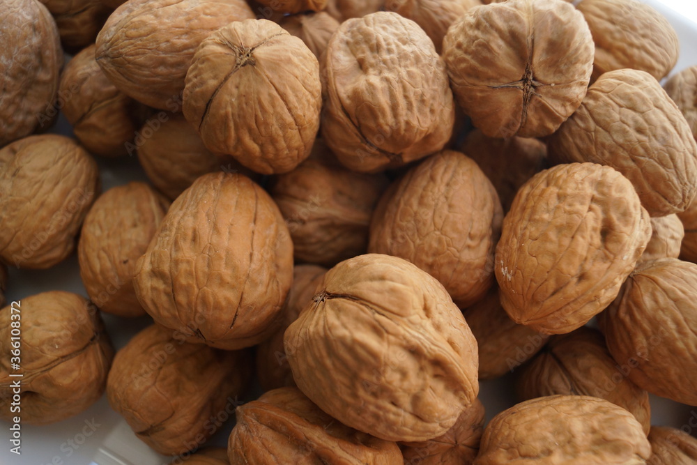 Las nueces están muy ricas y son buenas para la memoria Las nueces están muy ricas y son buenas para la memoria