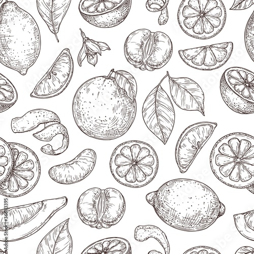 Citrus sketch pattern. Natural lemon orange leaves, lime fruits background. Vintage botanical branch, exotic plant vector seamless texture. Fruit lemon healthy, botanical food citrus pattern