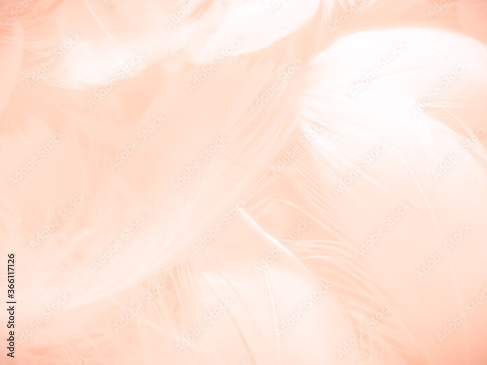 Beautiful abstract orange and white feathers on white background, soft brown feather texture on white pattern background, yellow feather background Beautiful abstract orange and white feathers on white background, soft brown feather texture on white pattern background, yellow feather background