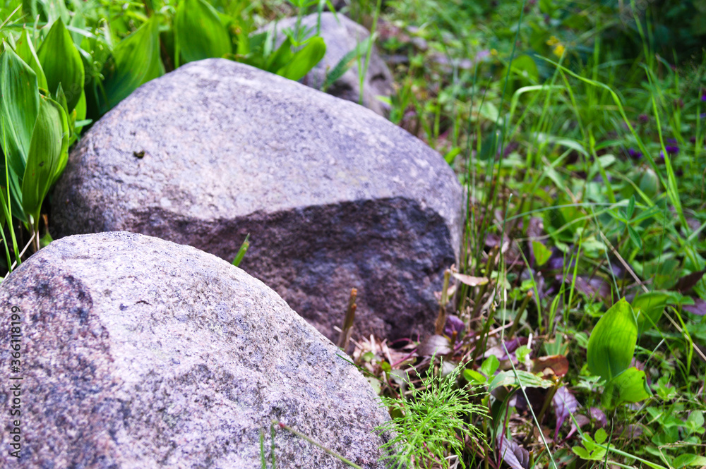 Stone in the forest
