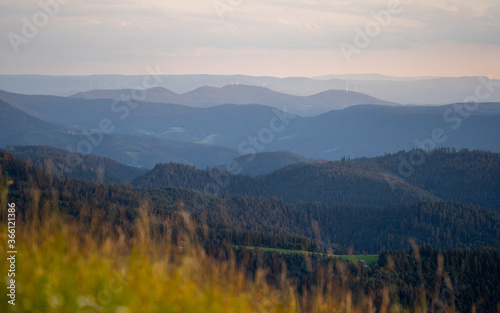 A nice view from the Katzenkopf on top of the Hornisgrinde in Germany during sunset.