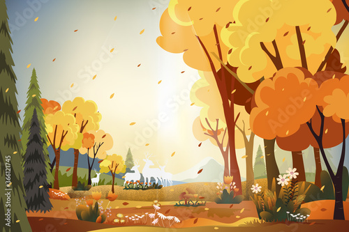 Fantasy panorama landscapes of Countryside in autumn,Panoramic of mid autumn with farm field, mountains, wild grass and leaves falling from trees in yellow foliage. Wonderland landscape in fall season