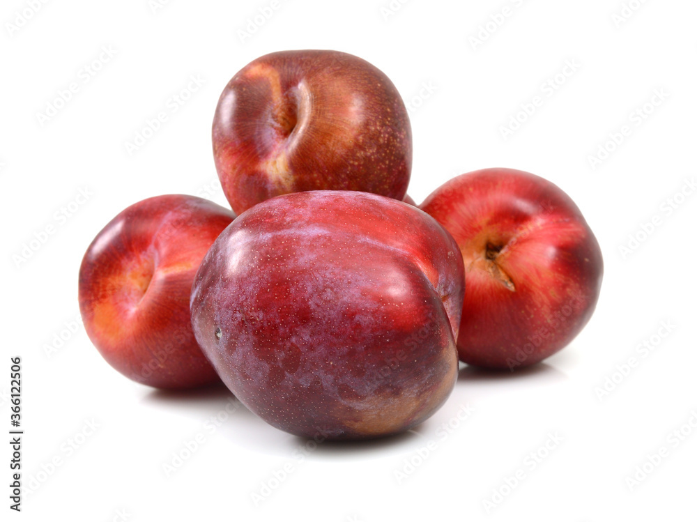Obraz premium Red plum fruit isolated on white background