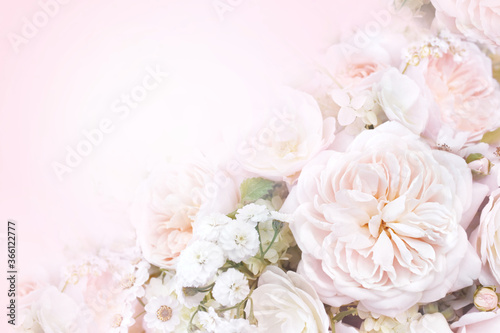 Delicate blossoming rose flowers, blooming pastel festive background, soft pink bouquet floral card, toned © ulada